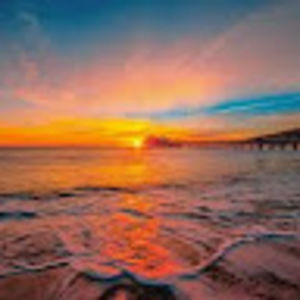 Meet your Posher, Bella n